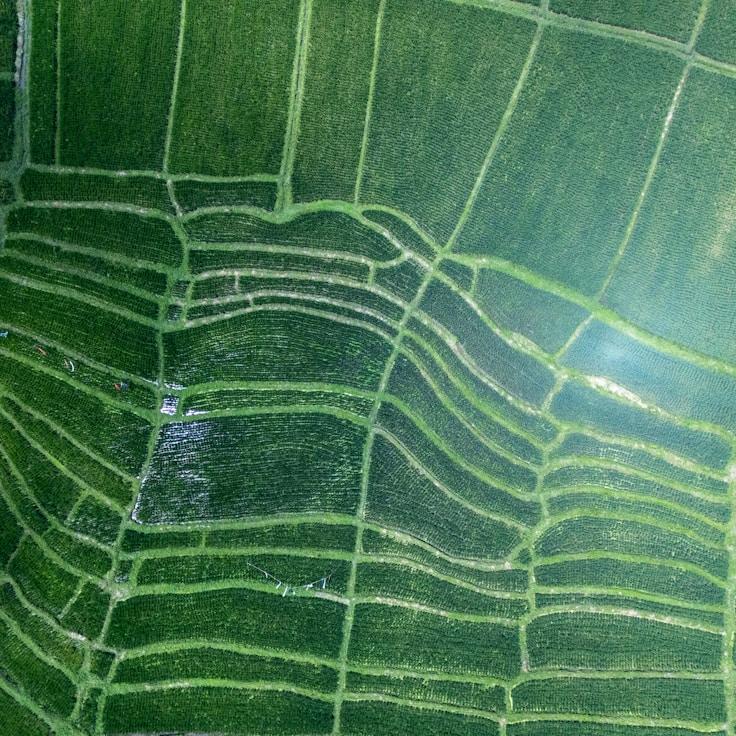 Family terraces and cafés for calm evenings in Milan